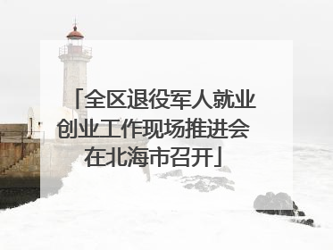 全区退役军人就业创业工作现场推进会在北海市召开