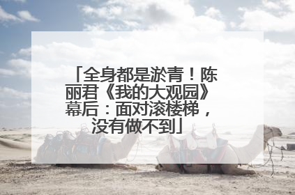 全身都是淤青！陈丽君《我的大观园》幕后：面对滚楼梯，没有做不到