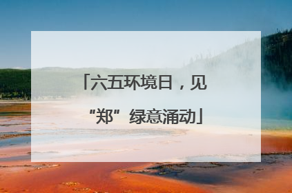 六五环境日，见“郑”绿意涌动