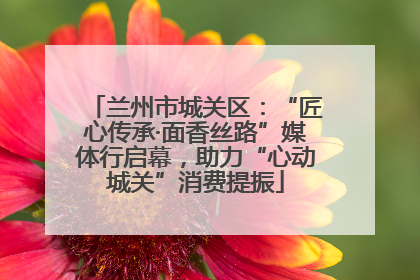 兰州市城关区：“匠心传承·面香丝路”媒体行启幕，助力“心动城关”消费提振