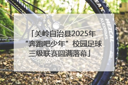 关岭自治县2025年“奔跑吧少年”校园足球三级联赛圆满落幕