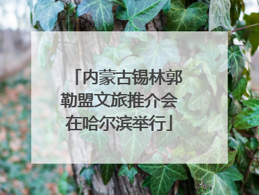 内蒙古锡林郭勒盟文旅推介会在哈尔滨举行