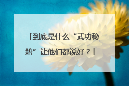 到底是什么“武功秘籍”让他们都说好？