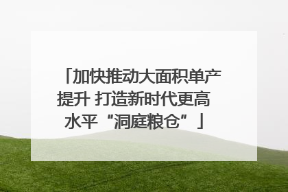 加快推动大面积单产提升 打造新时代更高水平“洞庭粮仓”