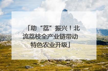 助“荔”振兴！北流荔枝全产业链带动特色农业升级