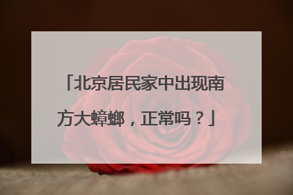 北京居民家中出现南方大蟑螂，正常吗？