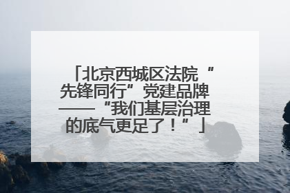 北京西城区法院“先锋同行”党建品牌——“我们基层治理的底气更足了！”
