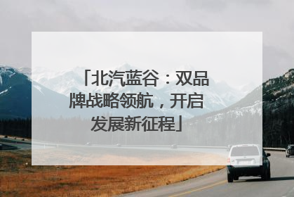 北汽蓝谷：双品牌战略领航，开启发展新征程