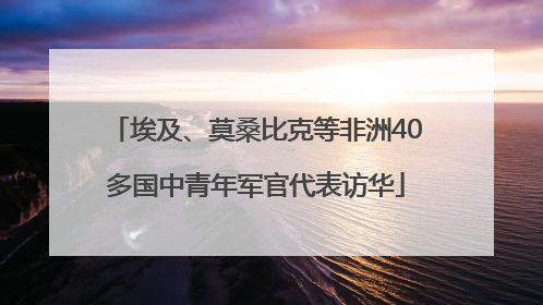 埃及、莫桑比克等非洲40多国中青年军官代表访华