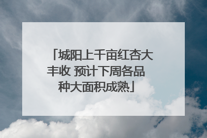 城阳上千亩红杏大丰收 预计下周各品种大面积成熟