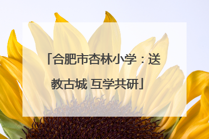 合肥市杏林小学：送教古城 互学共研