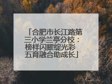 合肥市长江路第三小学兰亭分校：榜样闪耀绽光彩 五育融合助成长