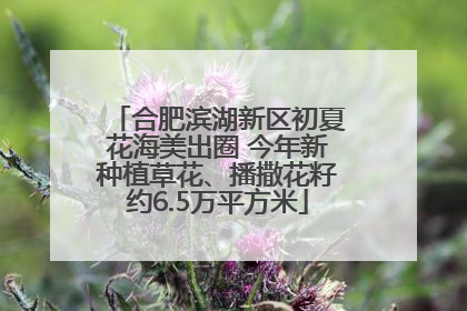 合肥滨湖新区初夏花海美出圈 今年新种植草花、播撒花籽约6.5万平方米