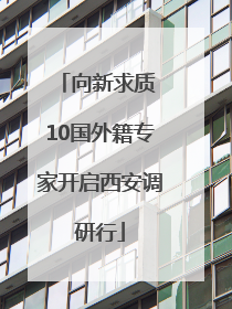 向新求质 10国外籍专家开启西安调研行