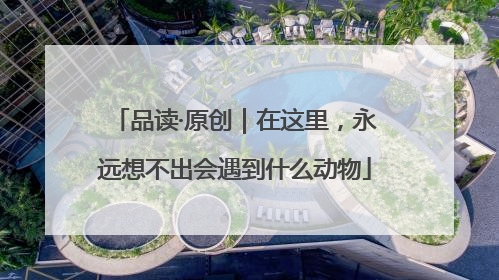 品读·原创｜在这里，永远想不出会遇到什么动物