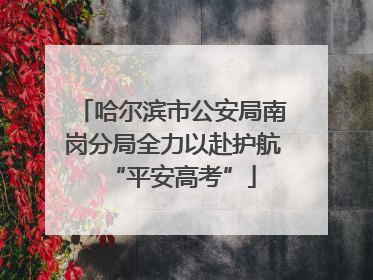 哈尔滨市公安局南岗分局全力以赴护航“平安高考”