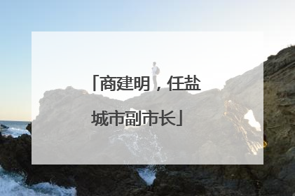 商建明，任盐城市副市长