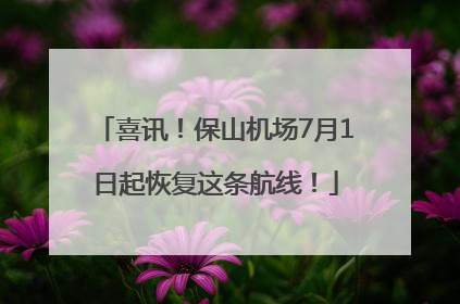 喜讯！保山机场7月1日起恢复这条航线！