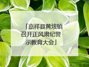 嘉祥县黄垓镇召开正风肃纪警示教育大会