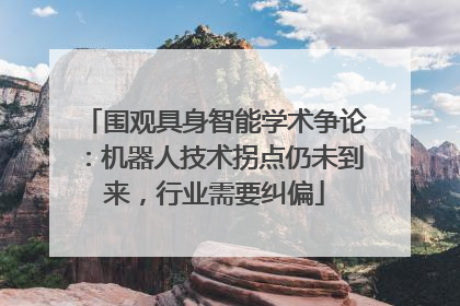 围观具身智能学术争论：机器人技术拐点仍未到来，行业需要纠偏