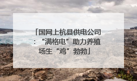 国网上杭县供电公司：“满格电”助力养殖场生“鸡”勃勃