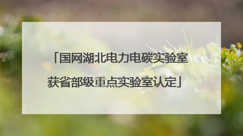 国网湖北电力电碳实验室获省部级重点实验室认定