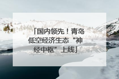 国内领先！青岛低空经济生态“神经中枢”上线