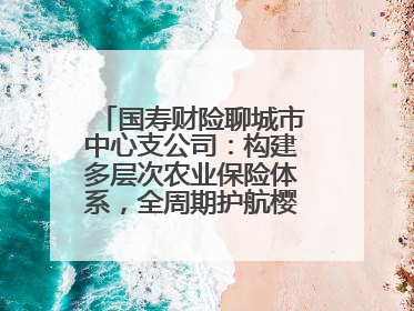 国寿财险聊城市中心支公司：构建多层次农业保险体系，全周期护航樱桃产业发展
