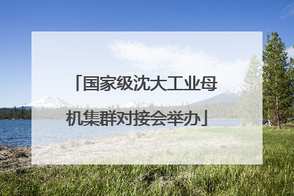 国家级沈大工业母机集群对接会举办