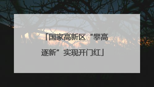 国家高新区“攀高逐新”实现开门红