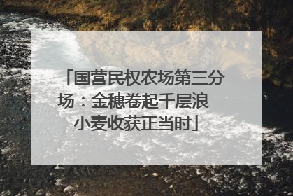 国营民权农场第三分场：金穗卷起千层浪 小麦收获正当时