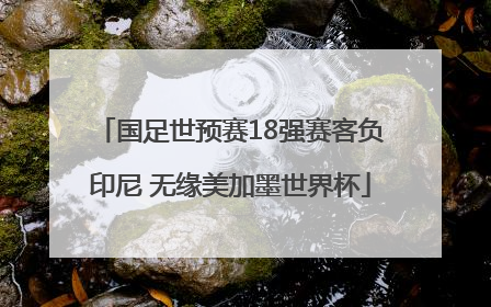 国足世预赛18强赛客负印尼 无缘美加墨世界杯