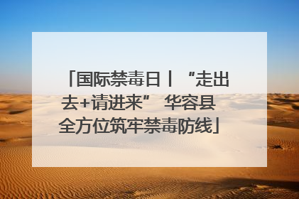 国际禁毒日丨“走出去+请进来” 华容县全方位筑牢禁毒防线