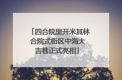 四合院里开米其林 合院式街区中海大吉巷正式亮相