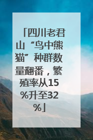 四川老君山“鸟中熊猫”种群数量翻番，繁殖率从15%升至32%