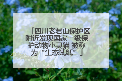 四川老君山保护区附近发现国家一级保护动物小灵猫 被称为“生态试纸”