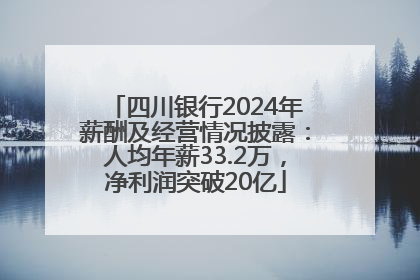 四川银行2024年薪酬及经营情况披露：人均年薪33.2万，净利润突破20亿