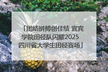 团结拼搏创佳绩 宜宾学院田径队闪耀2025四川省大学生田径赛场