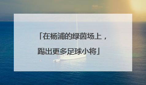 在杨浦的绿茵场上，踢出更多足球小将