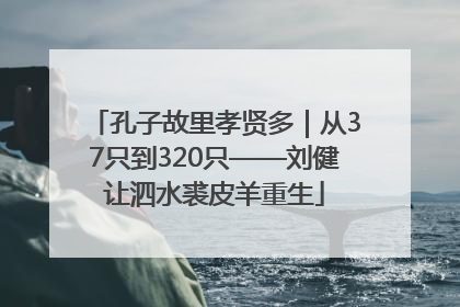 孔子故里孝贤多｜从37只到320只——刘健让泗水裘皮羊重生