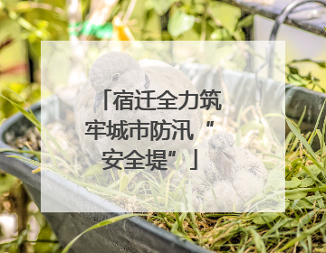 宿迁全力筑牢城市防汛“安全堤”
