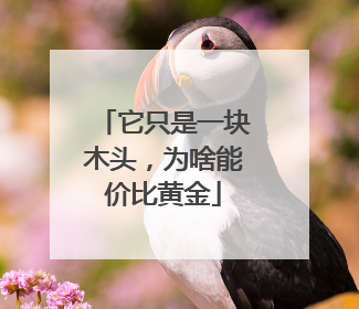 它只是一块木头，为啥能价比黄金