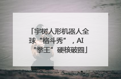 宇树人形机器人全球“格斗秀”，AI“拳王”硬核破圈