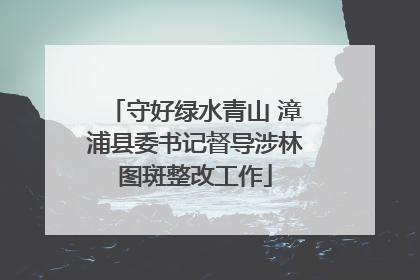 守好绿水青山 漳浦县委书记督导涉林图斑整改工作