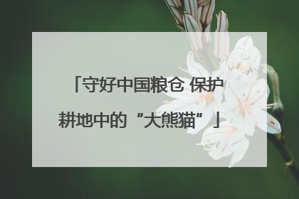 守好中国粮仓 保护耕地中的“大熊猫”