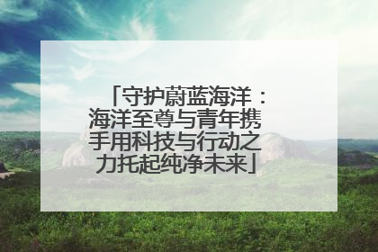 守护蔚蓝海洋：海洋至尊与青年携手用科技与行动之力托起纯净未来
