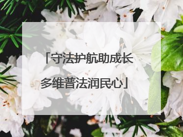 守法护航助成长 多维普法润民心