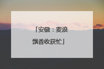 安徽：麦浪飘香收获忙