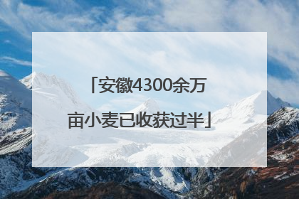 安徽4300余万亩小麦已收获过半