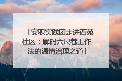 安职实践团走进西苑社区：解码六尺巷工作法的温情治理之道